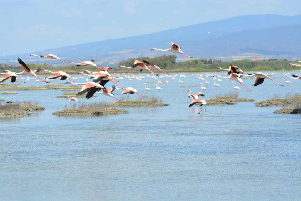 B&B Terre Del Sinis Кабрас Екстер'єр фото